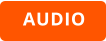 AUDIO